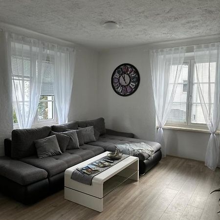Gemuetliche Wohnung In Zentraler Lage غراتس المظهر الخارجي الصورة