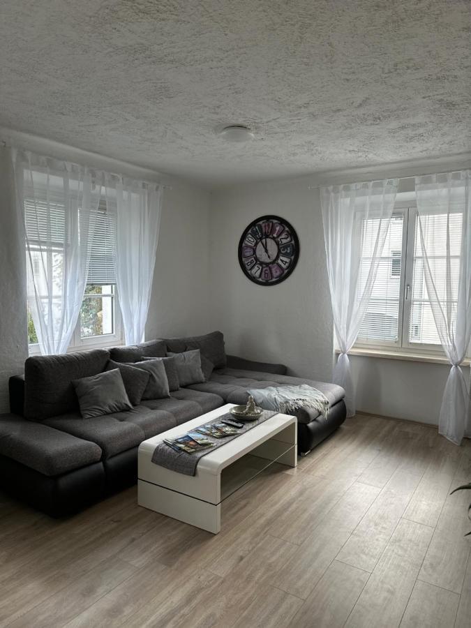Gemuetliche Wohnung In Zentraler Lage غراتس المظهر الخارجي الصورة